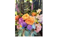 New Baby Flowers  by Annie in Bloom.Atx