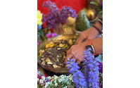 Rooted & Radiant: Women's Art + Writing Retreat by Sharon Ann Rose - Women's Sacred Rites of Passage