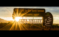 Guided Wine Tours by Vijay Sandhu