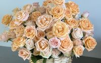 Birthday Bouquets by Flower Power