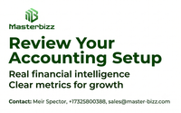 Accounting Systems Design & Implementation by MasterBizz