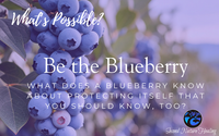 What's Possible? Be the Blueberry by Second Nature Healing