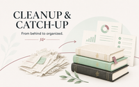 Cleanup & Catch-up by Briz Bookkeepers LLC