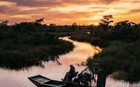 Wildlife Tours by Xtreme airboat tours LLC