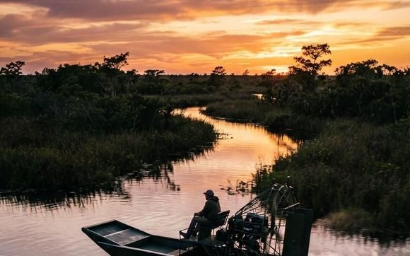 Wildlife Tours by Xtreme airboat tours LLC