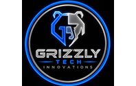Refresh Your Website by Grizzly Tech Innovations
