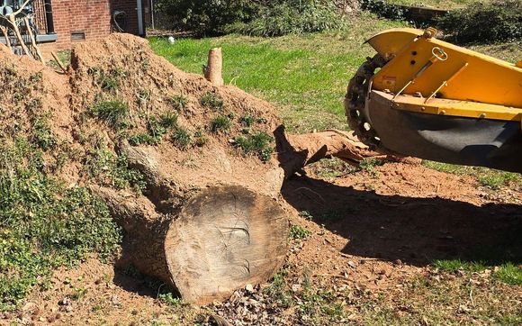 Stump Grinding by Stump Boss LLC