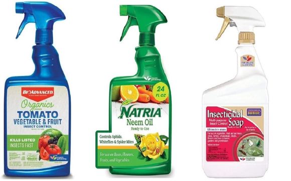 Plant Care Products by OLYMPIC NURSERY FLOWERS & PRODUCE