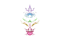 TWR (Transformative Wholistic Reintegration) by Divine Energy