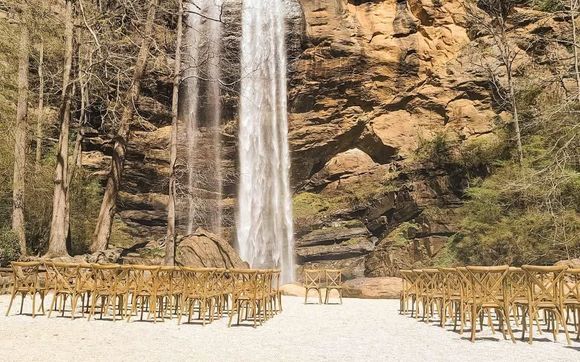 Ceremony Chairs For Rent  by Boxwood Event Rentals