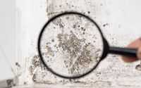 Comprehensive Mold Remediation Services by Arclight Tool and Supply