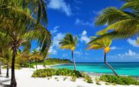 Break away package by MS Virtual Assistant