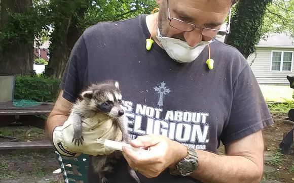 Wildlife Removal by The Critter Gitter