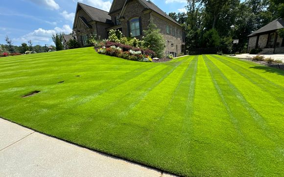Lawn care services Buford by TurfMark Outdoor Solutions