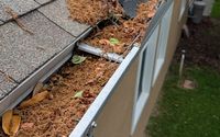 Residential Gutter Cleaning by Radiant Clean