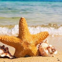 Support Groups by DenaBower.com and Recovery4Women.com