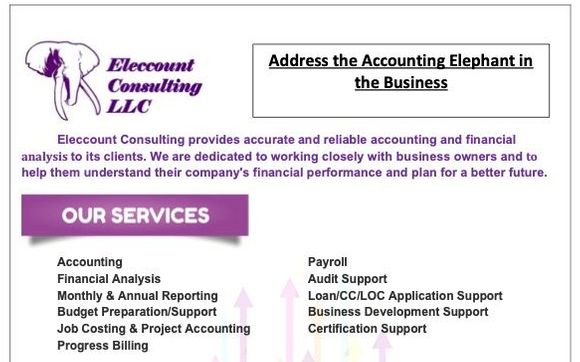 Accounting and Financial Analysis by Eleccoung Consulting LLC - Accounting and Fractional CFO