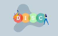 DiSC Assessement Implementation by Rhino Consulting and Coaching