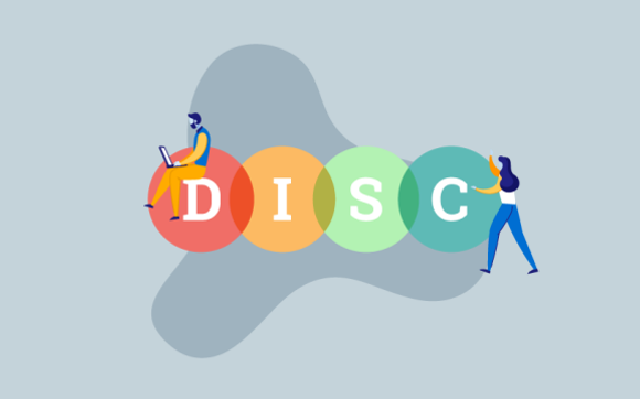 DiSC Assessement Implementation by Rhino Consulting and Coaching