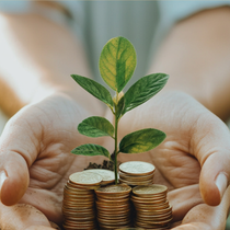 From Seedling to Success — Let’s Grow Your Business by Olive Tree Growth Partners