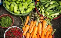 Sustainable Agricultural Education by Kayonza Global Network