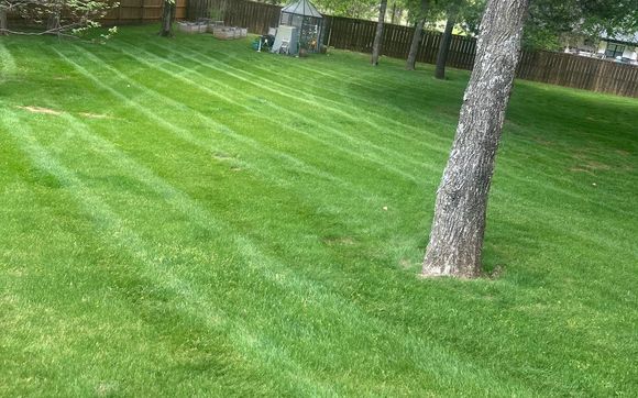 landscaping, irrigation, lawn care by Lynch Lawn & Landscape