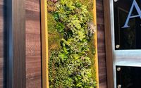 Wall Art by San Diego Interior Foliage