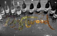 Wine Tasting by Driftwood Wine Cellars