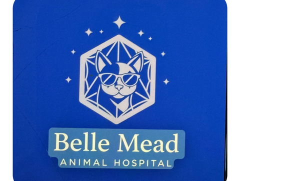 Geriatric Care by Belle Mead Animal Hospital