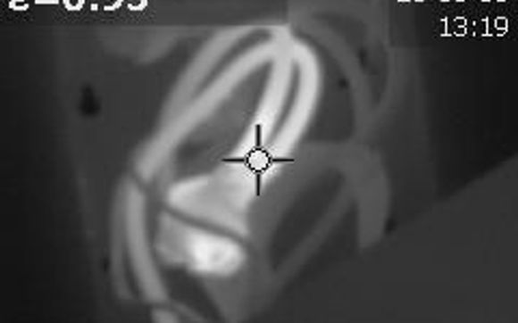 Thermal Imaging by High Tech Inspections Inc.