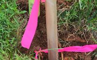 Boundary Surveys by Optix LLP