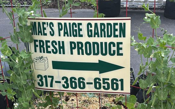 Farming Techniques Consulting by Can We Ryde Inc.