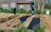 Youth Engagement Programs by Mother Love's Garden