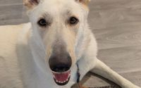 Visit Our Etsy Store by Arwen Approved