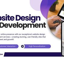 Website Design & Development by David Solution