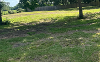 Acreage Brush Clearing by BrushHogMaster