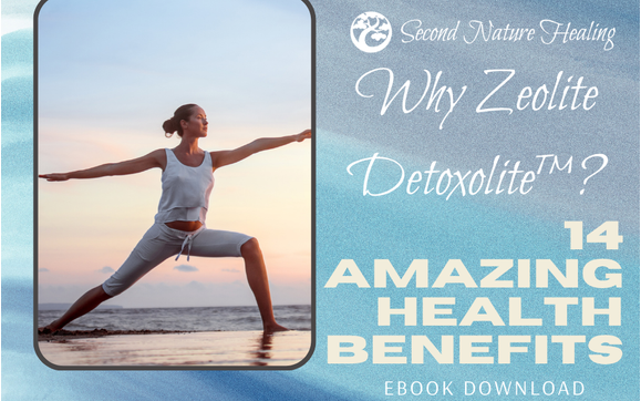 Ebook Download for a Healthy Life by Second Nature Healing