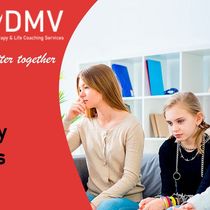 Family Dynamic therapy by DMV Life coaching and Therapy Services