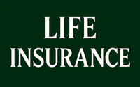 Life Insurance by Inna Risis