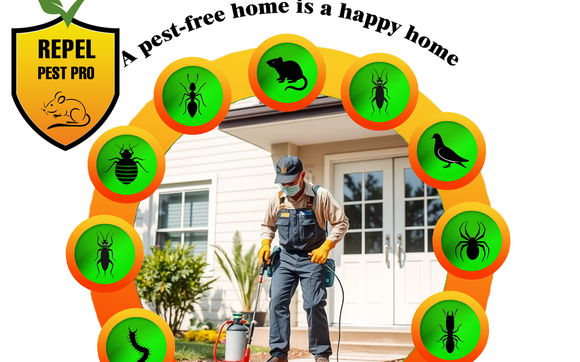 Ant Extermination by Repel pest pro in West Vancouver, BC - Alignable