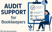 Audit Support by Briz Bookkeepers LLC
