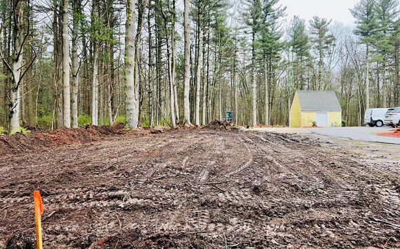 Land Clearing by Susienk Landscape&Design inc