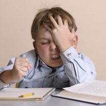 Comprehensive Educational Programs by North Coast Education Services
