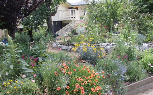 Irrigation Design by Marion Shaw Greenscpae Designer
