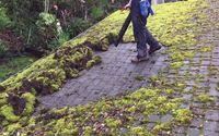 Residential Cleaning by Moss Boss of Humboldt