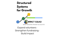Nonprofit Consulting by IMPACT SQUAD