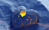 Transition with Grace / End-of-Life Care by Animal Soul Connection ~Holistic care, Education & Intuitive Connection