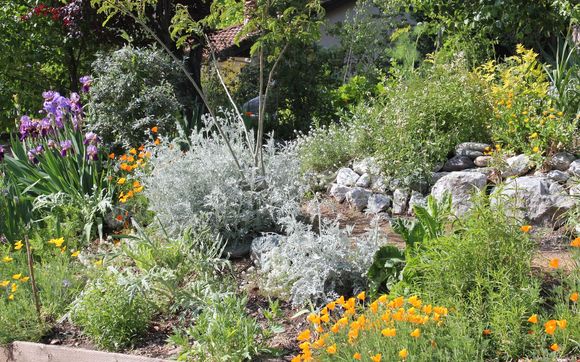 Plant Selection by Marion Shaw Greenscpae Designer
