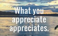 GratitudeConsultant by Bill  Savage