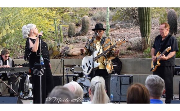 Wedding Performances by Bluesman Mike & The Blues Review Band